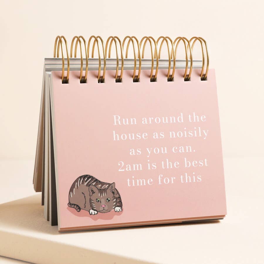 Be More Cat Desktop Flip Chart