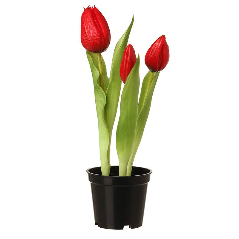 RED TULIPS