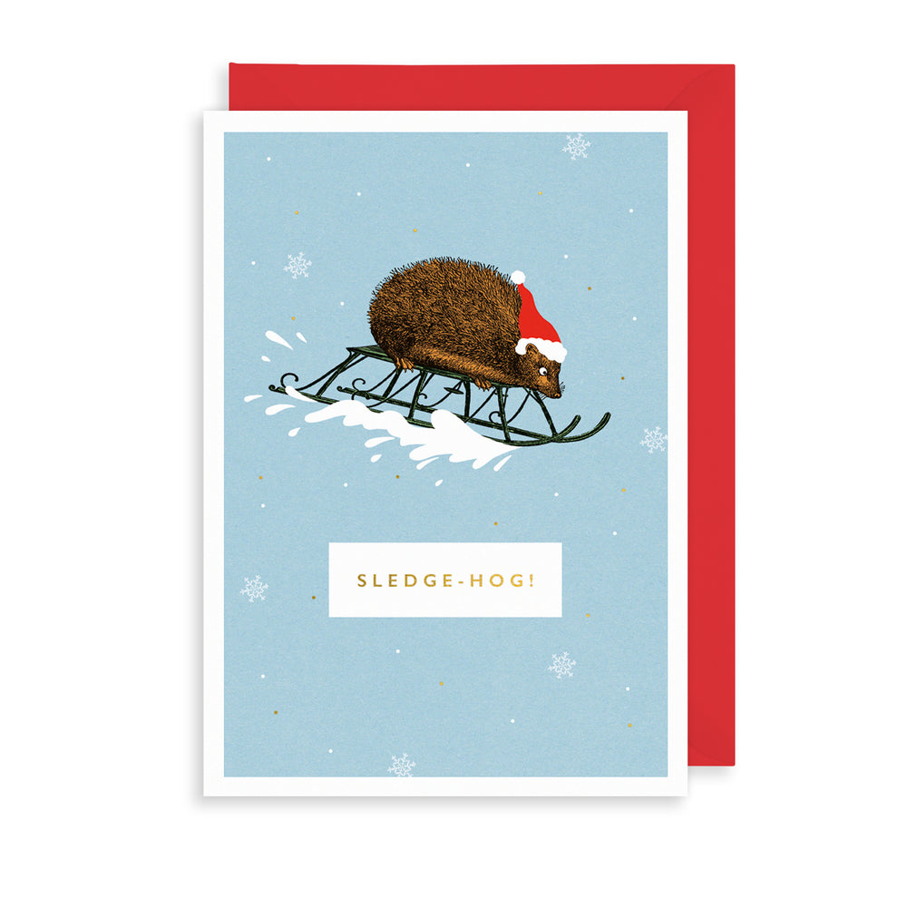 ROCK ON SLEDGE-HOG XMAS CARD