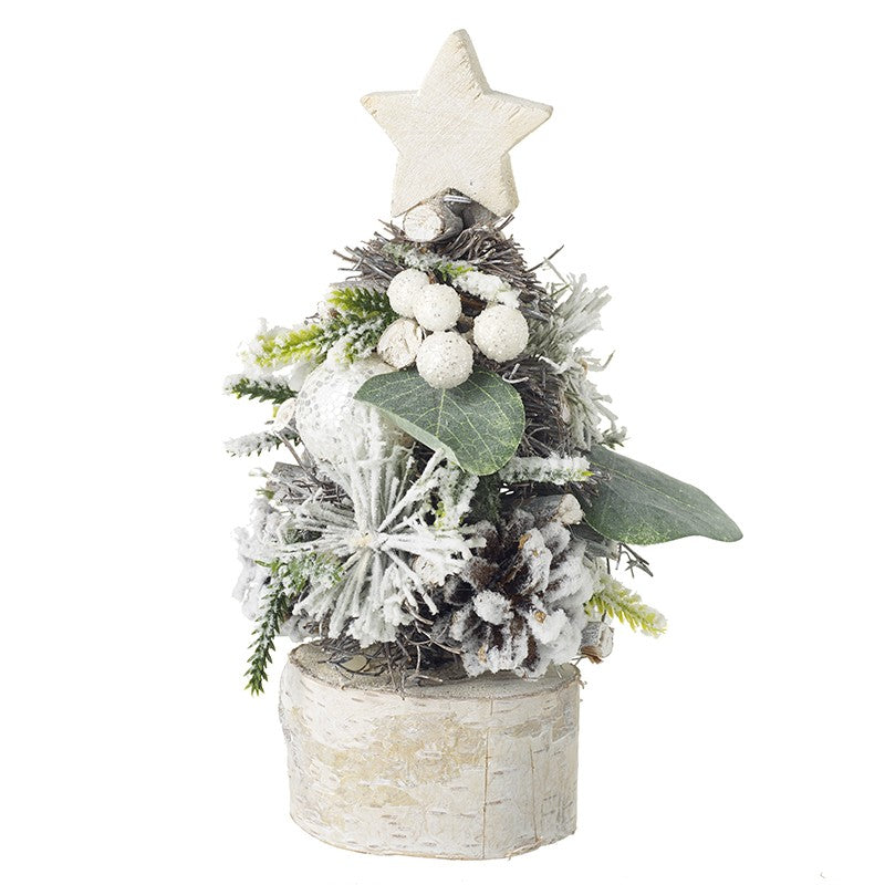 Star Topped Foliage Tree