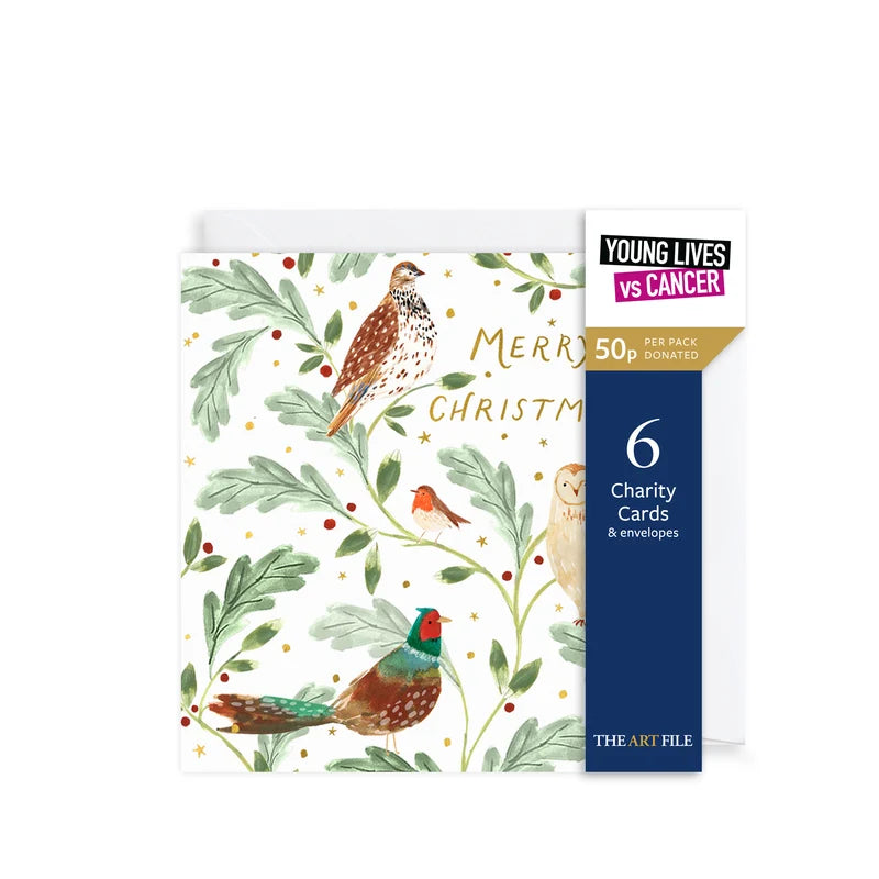 Festive Birds, Christmas Charity Card Pack of 6