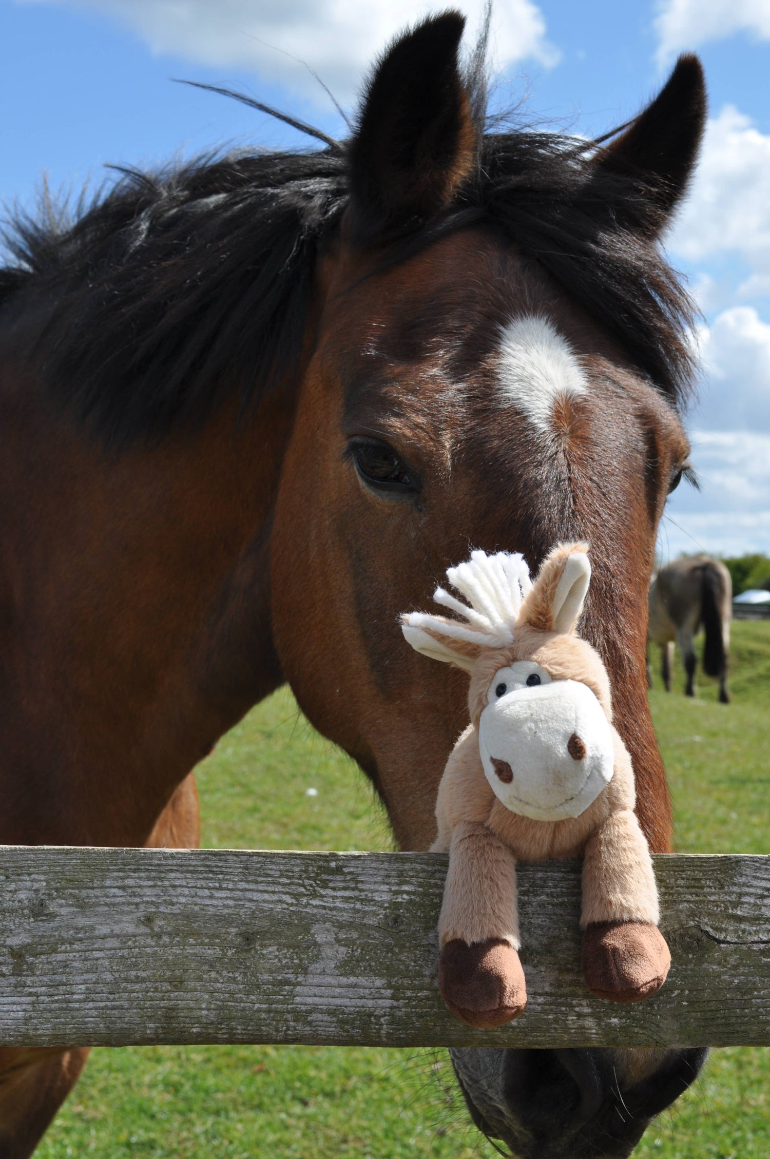 Soft Toys & Collectables