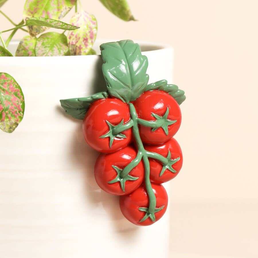 Tomato Vine Planter Hanger