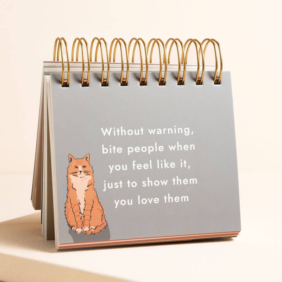 Be More Cat Desktop Flip Chart