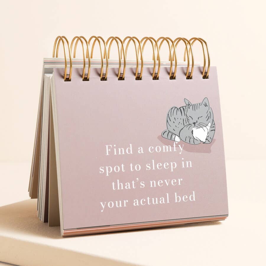 Be More Cat Desktop Flip Chart