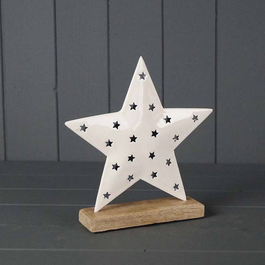 White Enamelled Star (21.5cm)