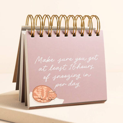 Be More Cat Desktop Flip Chart