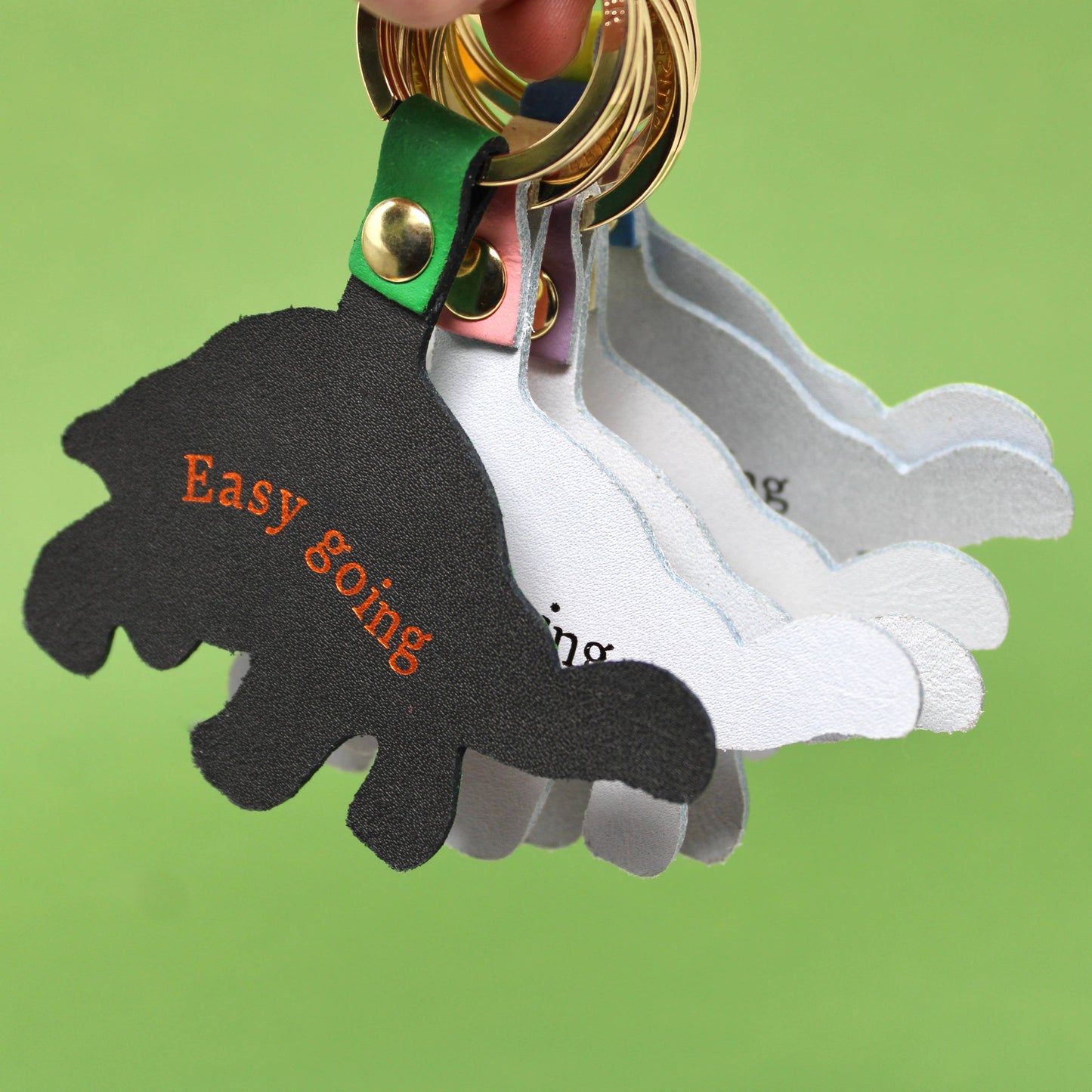 'Easy Going' Tortoise Key Ring
