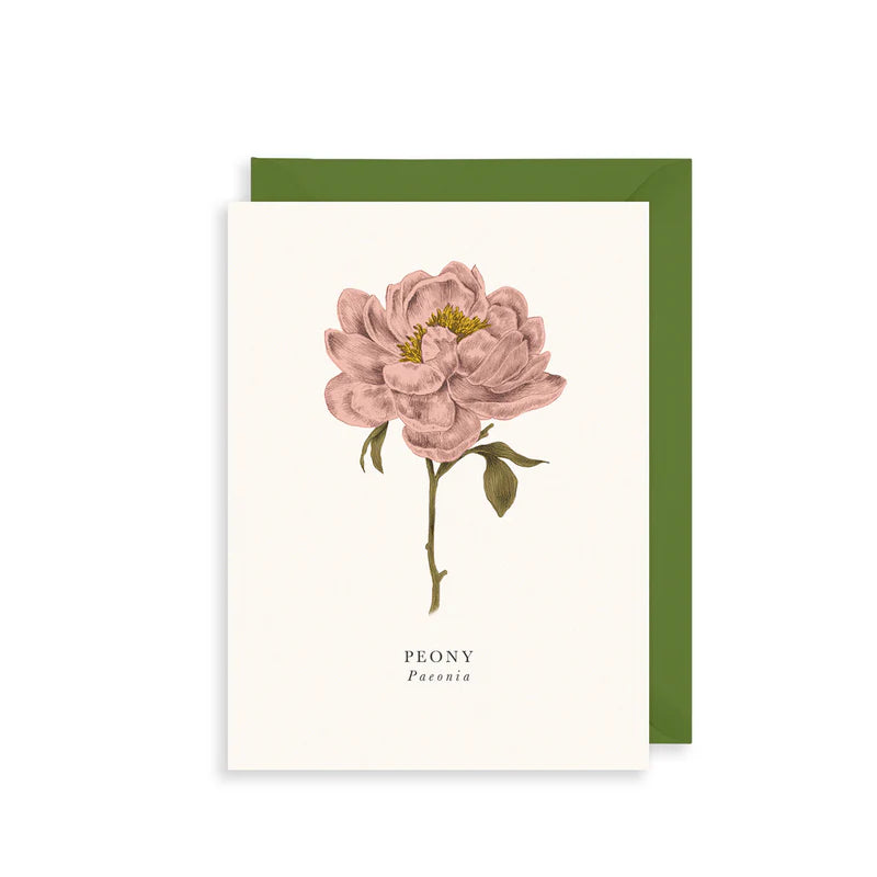Small Greetings Card- Peony