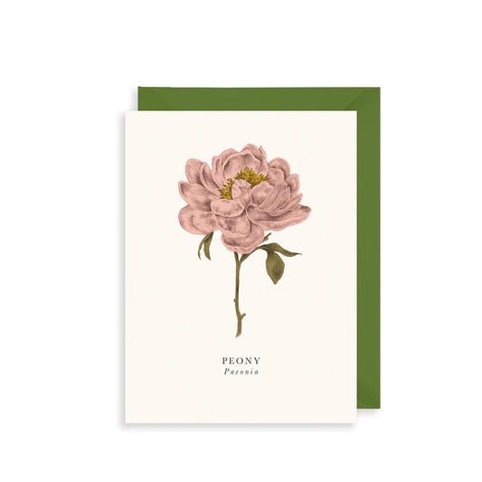 Small Greetings Card- Peony