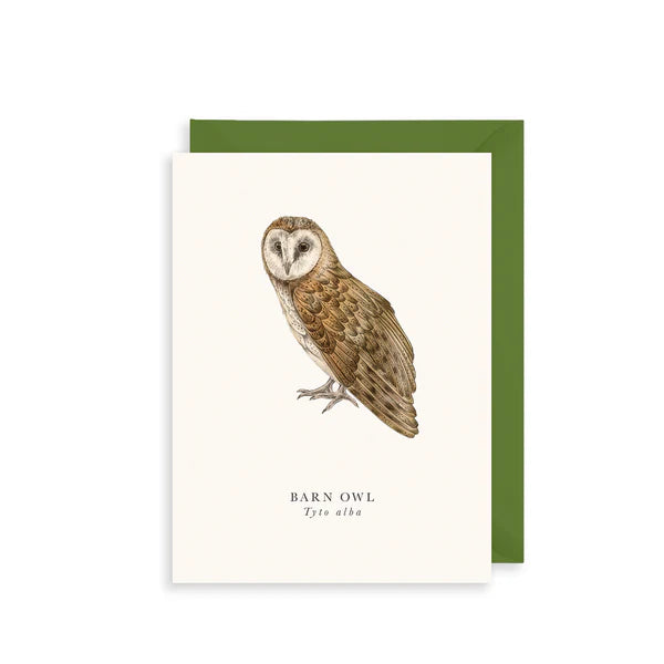 Small Greetings Card- Barn Owl