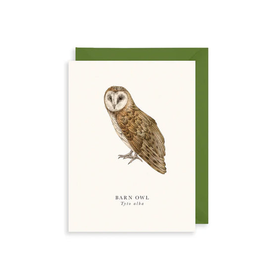 Small Greetings Card- Barn Owl