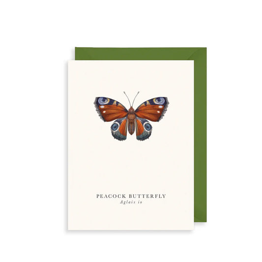 Small Greetings Card- Peacock Butterfly