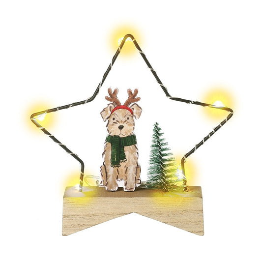 Light Up Star With Dog Dec