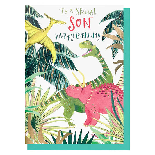 Special Son Birthday card
