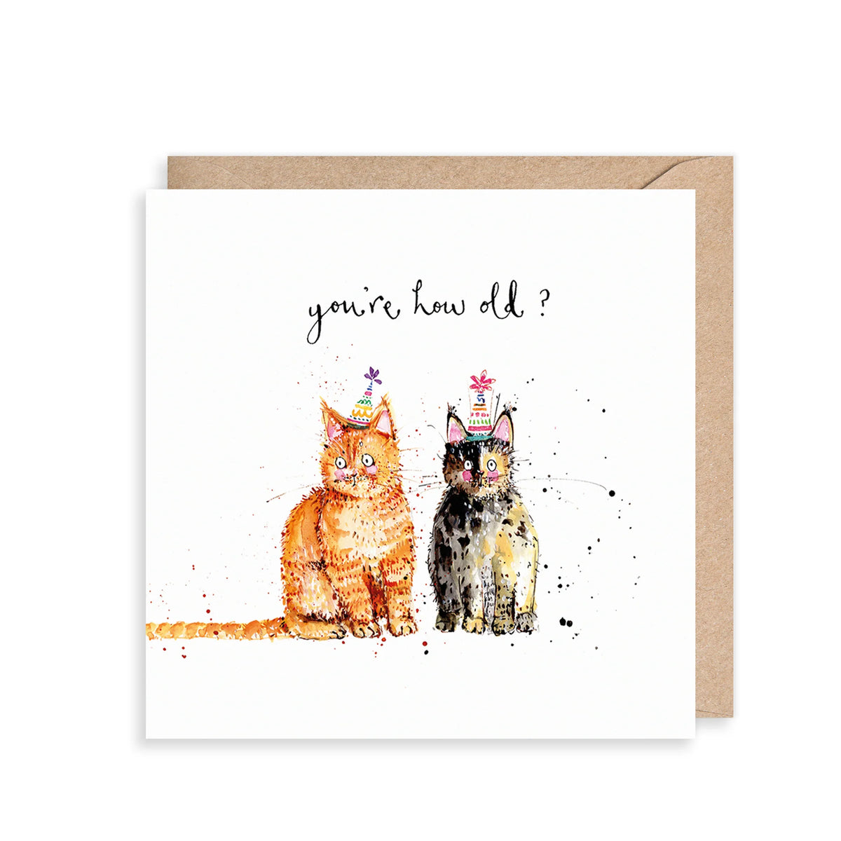 Cat's You're How Old? Birthday Card