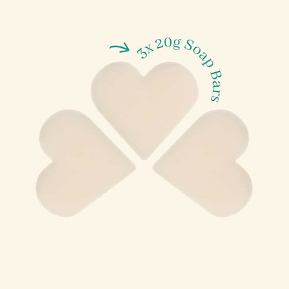 Christmas Tidings Frosted Fir & Holly Heart Guest Soaps