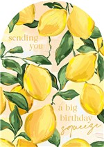 Sending you a big Birthday squeeze
