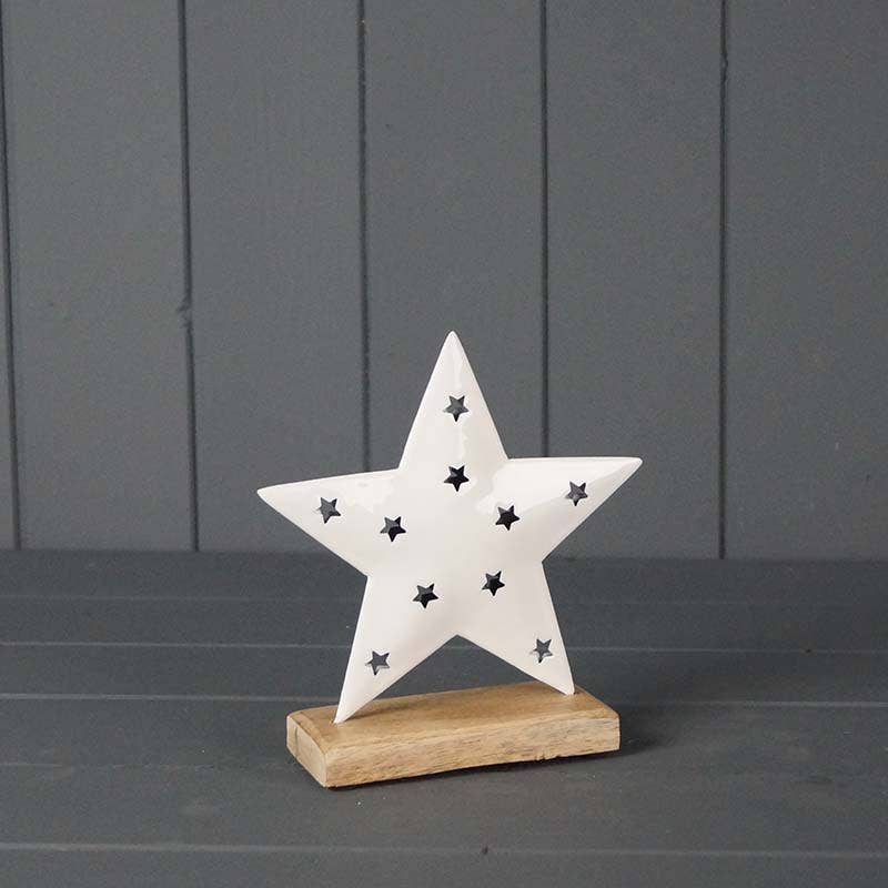 White Enamelled Star (16cm)