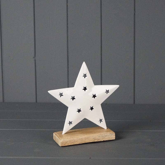 White Enamelled Star (16cm)