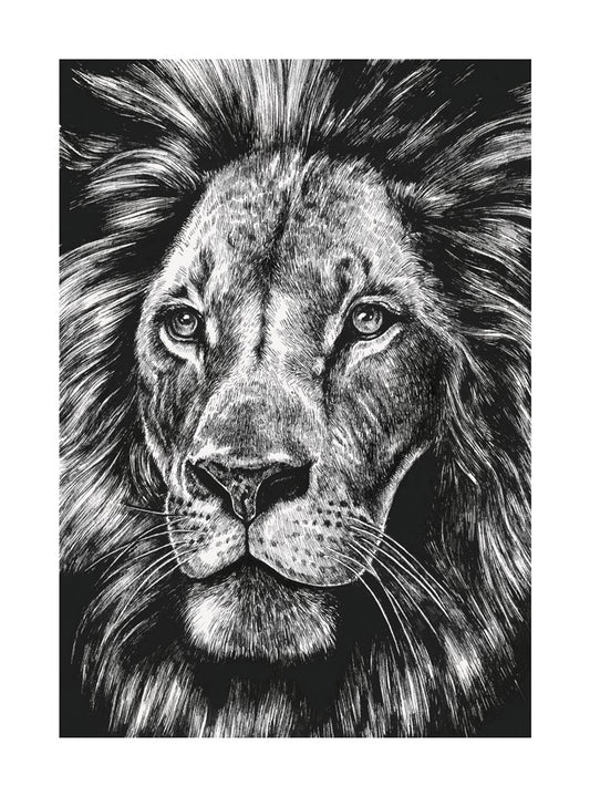 Lion | Small Greetings Card