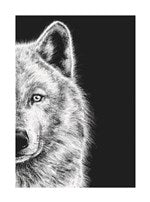 Wolf | Small Greetings Card