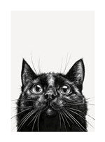 Black Cat | Small Greetings Card