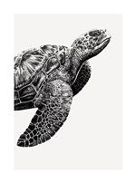 Turtle | Small Greetings Card