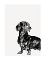 Sausage Dog | Small Greetings Card
