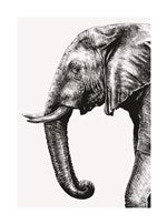 Elephant | Small Greetings Card