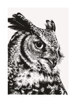 Owl | Small Greetings Card