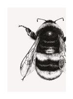 Bee | Small Greetings Card