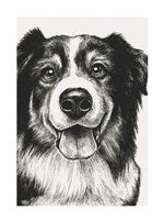 Sheep Dog | Small Greetings Card