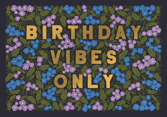 Little Wonders Birthday Vibes Only
