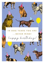 Dog years Birthday Card