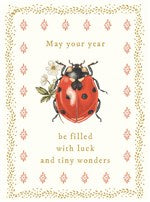 Ladybird | Small Birthday Card